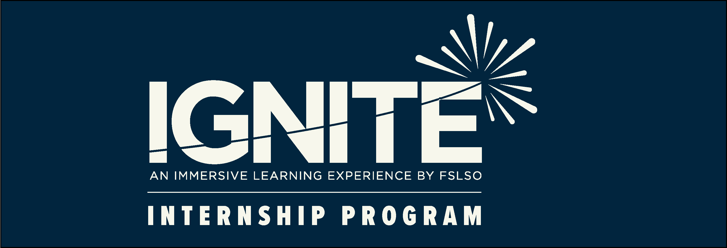 IGNITE Internship Program