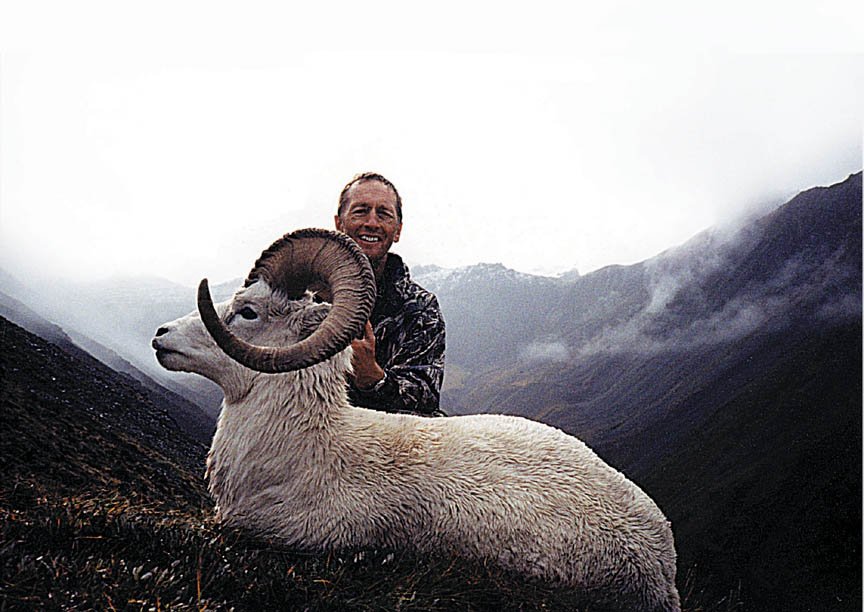 37" Dall Ram